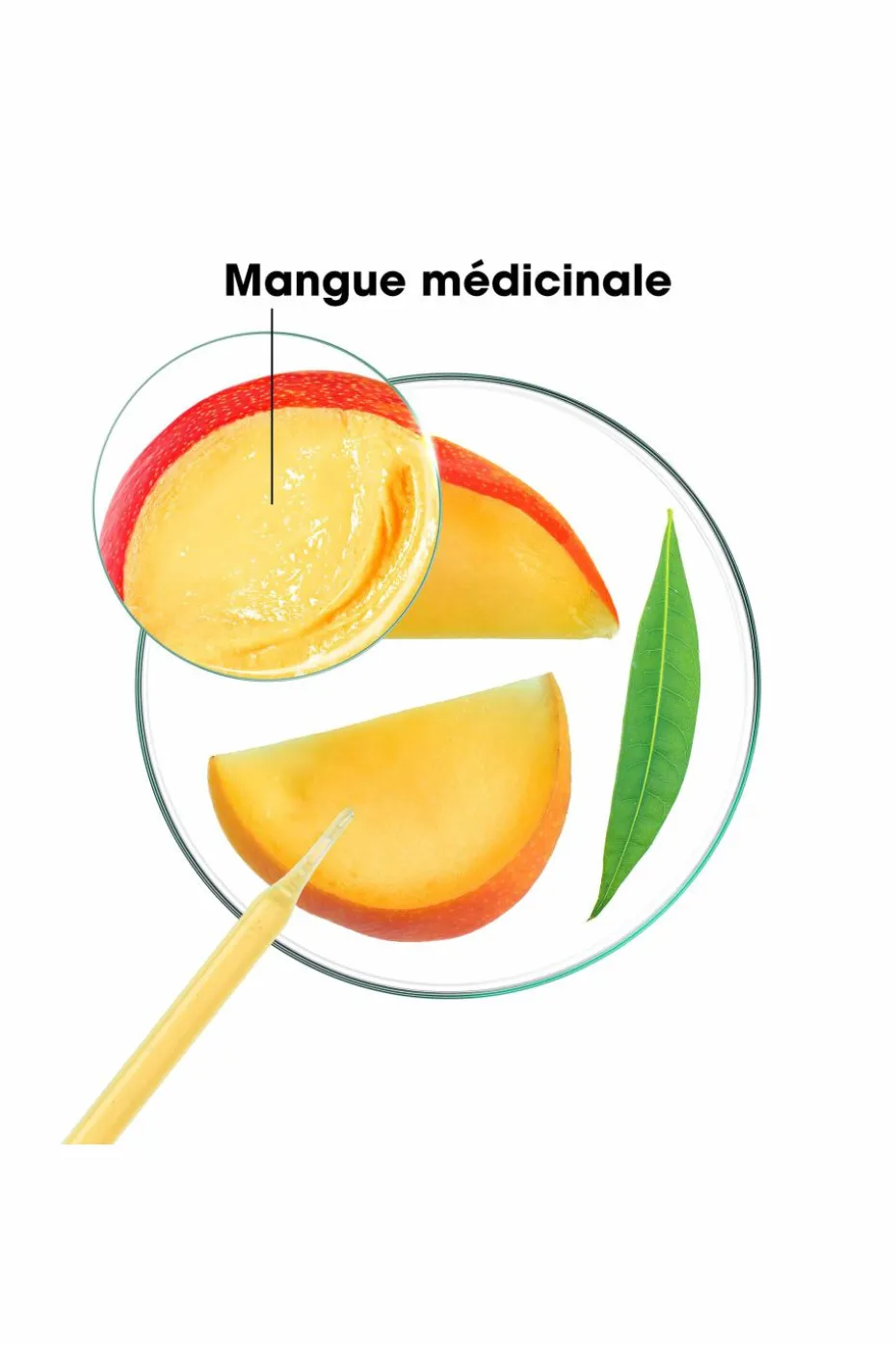 Après-shampoing nutrition à la mangue pour cheveux secs