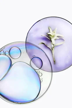 Bain Lumière Blond Absolu