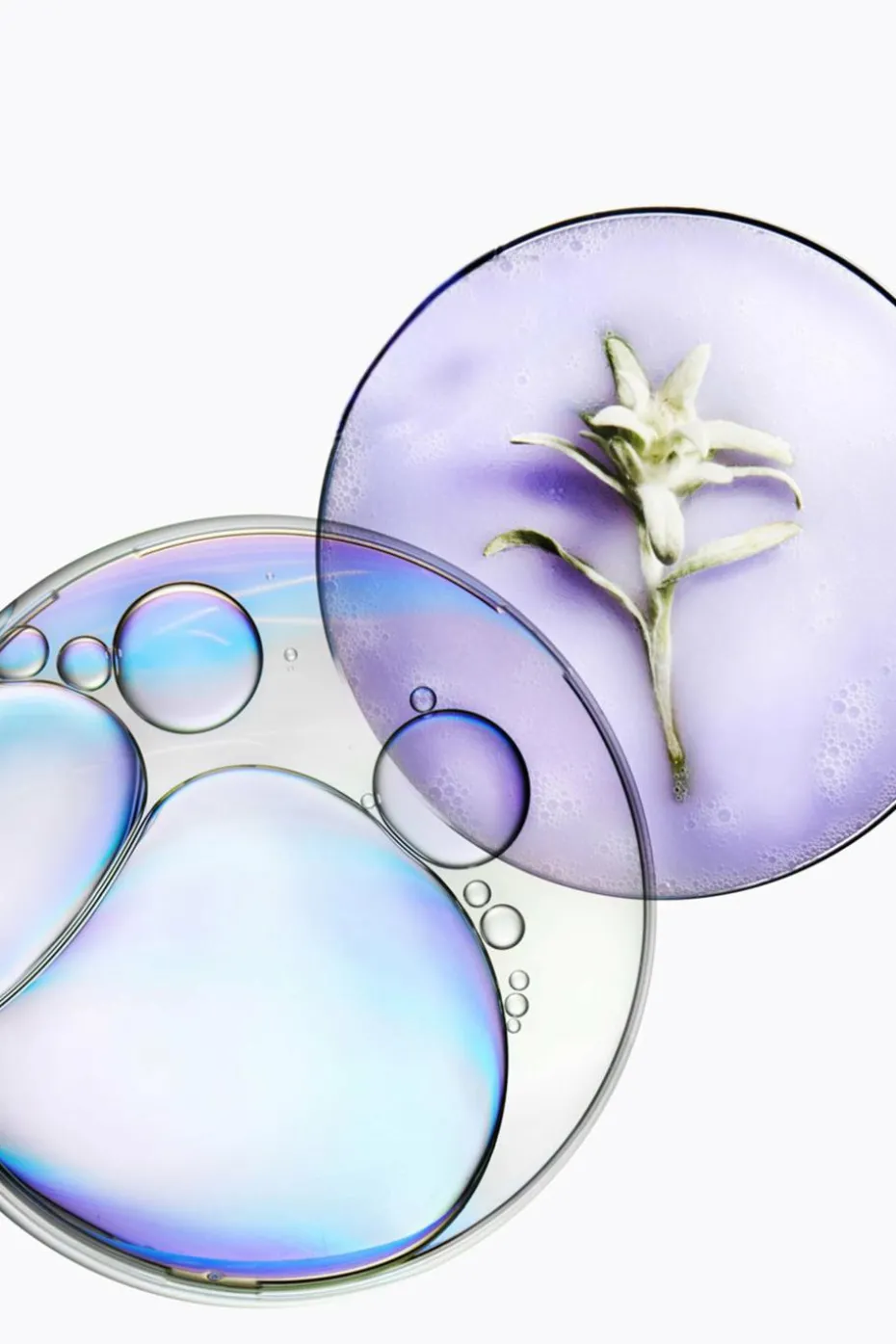 Bain Lumière Blond Absolu