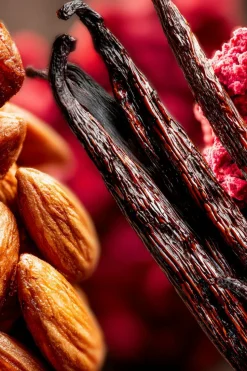 Brume cheveux & corps Exquise Tentation