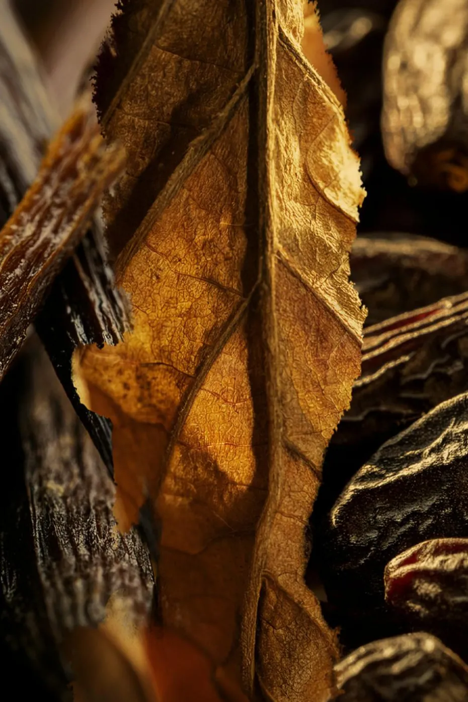 Brume cheveux & corps Tobacco Volute