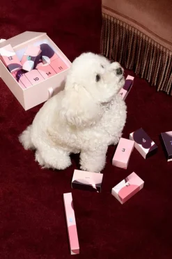 Calendrier de l’avent manucure All that glitters