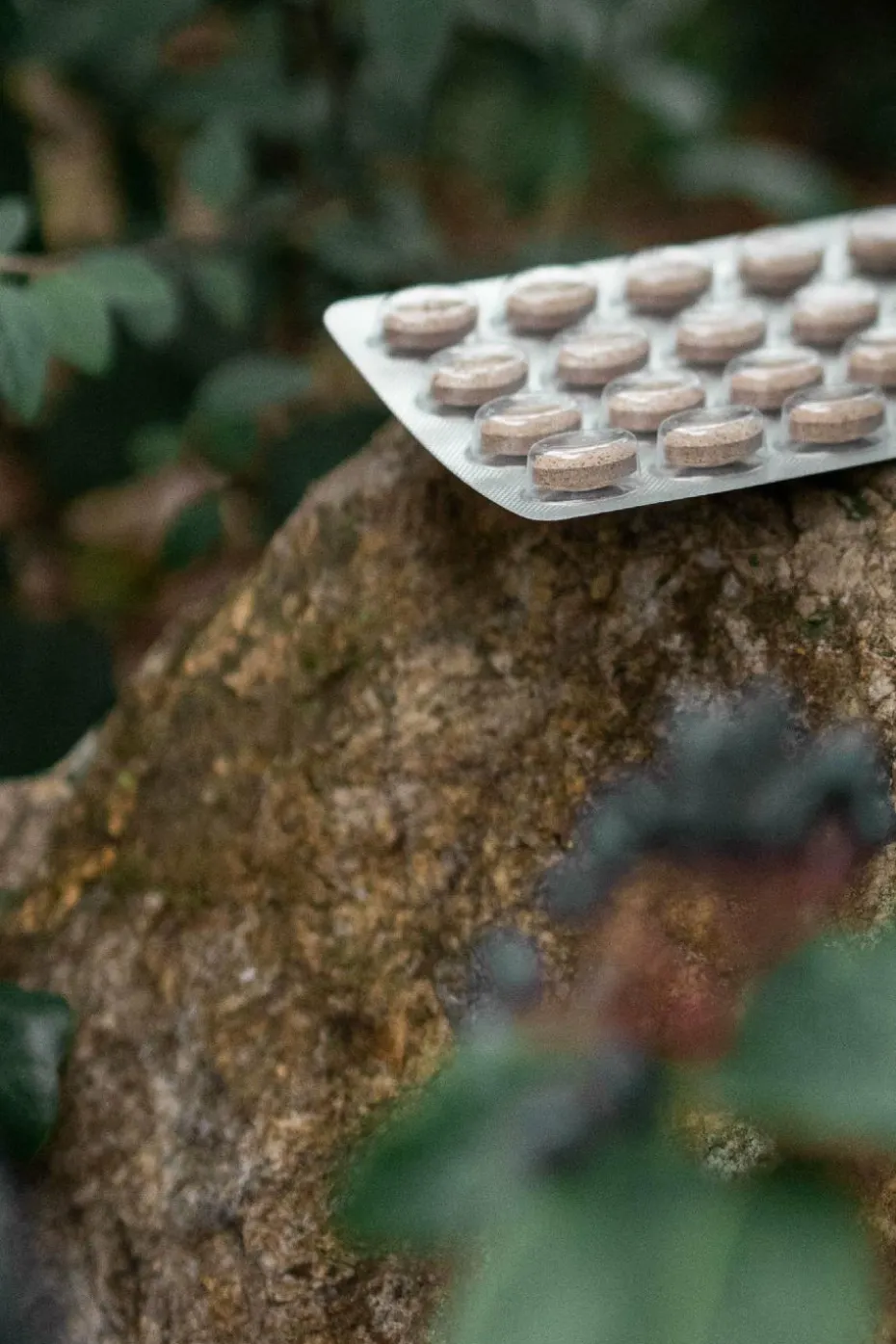 Complément alimentaire brûleur de graisse