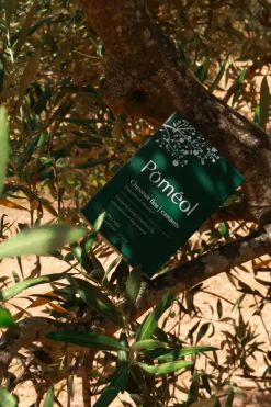 Complément alimentaire volume & densité pour cheveux fins