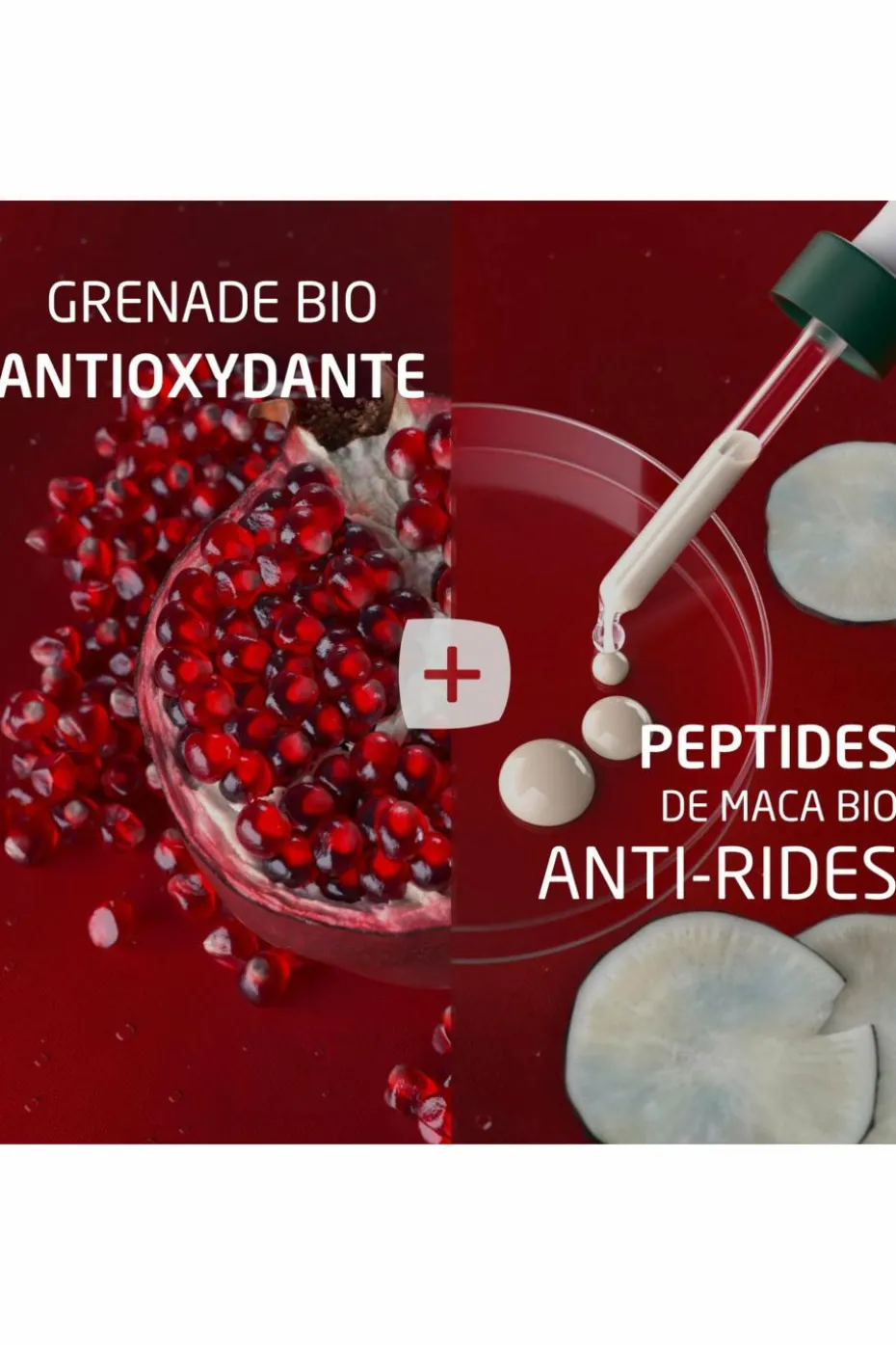 Crème de jour raffermissante grenade et peptides de maca