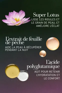 Crème de nuit au lotus et à la vitamine E