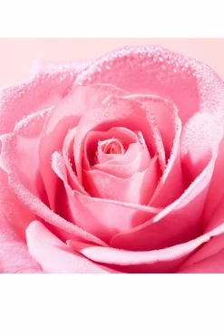 Crème mains et ongles apaisante Very Rose