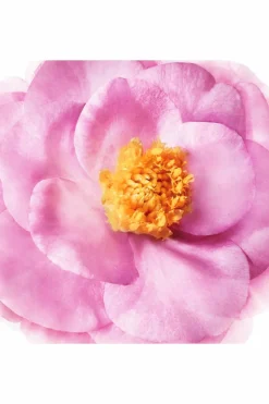 Démêlant Brillance Miroir Hair Prodigieux®