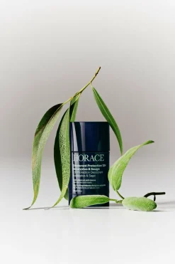 Déodorant Protection 12H Eucalyptus & Sauge