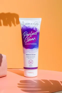 Duo shampoing et après-shampoing pour cheveux déshydratés