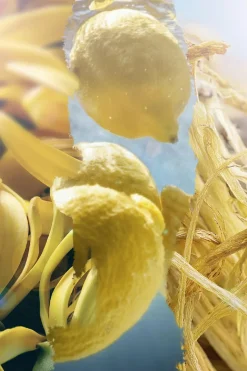 Eau de parfum Hot Splash