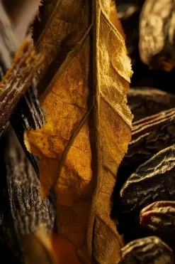 Eau de parfum Tobacco Volute