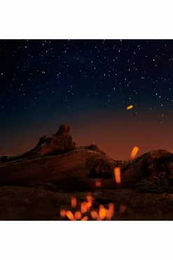 Eau De Toilette Boisé ambré Replica Under The Stars