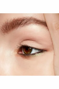 Fard à Paupières Prolongwear Paint Pot