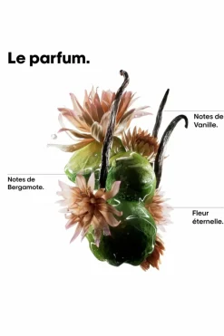 Huile bi-phase Serie Expert Absolut Repair Molecular