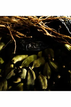 La Nuit de L’Homme Eau de Toilette