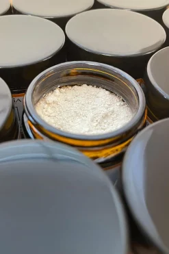 La Poudre Magique Eclat & Jeunesse L’Appel de la Forêt à la vitamine C