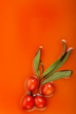 Lait corps hydratant à l’argousier