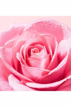 Lotion tonique fraicheur Very Rose