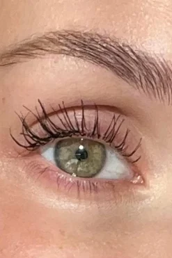 Mascara noir Grand Danois