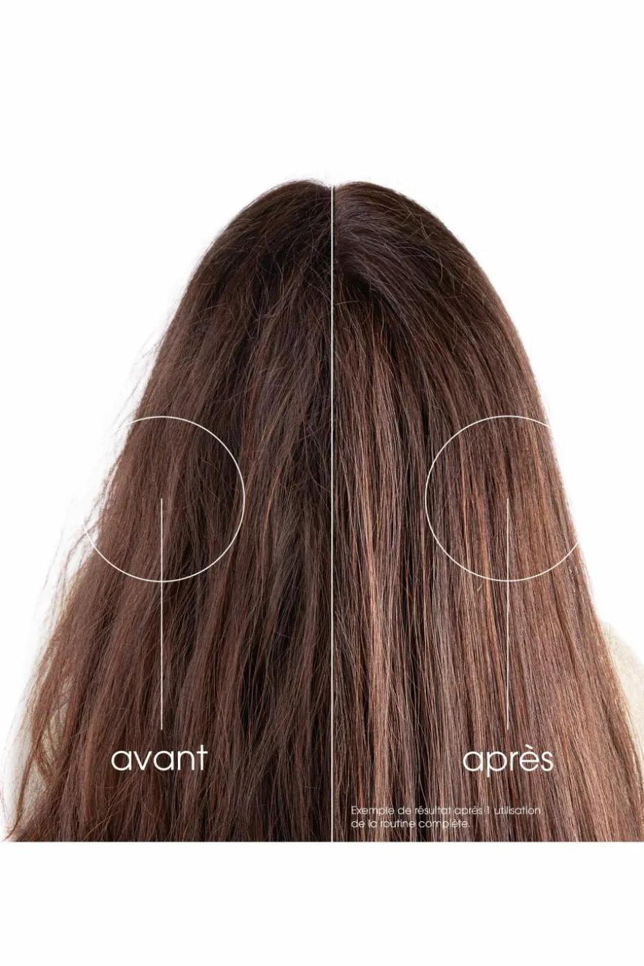 Masque cheveux repulpant 72h au Figuier de barbarie