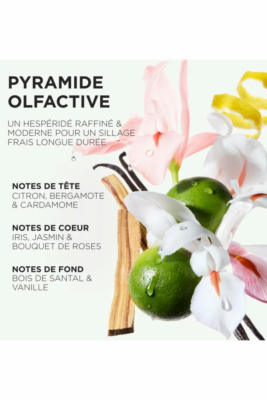 Masque hydra-nourrissant pour cheveux épais sujets aux frisottis Gloss Absolu