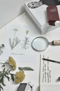 Masque réparateur et adoucissant YOUNG.AGAIN.MASQUE