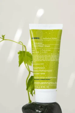 Masque volcanique purifiant