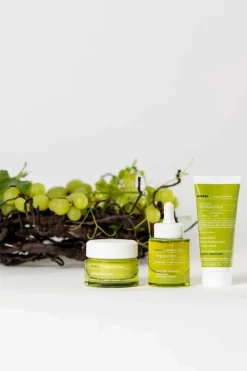 Masque volcanique purifiant