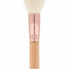 Pinceau Poudre