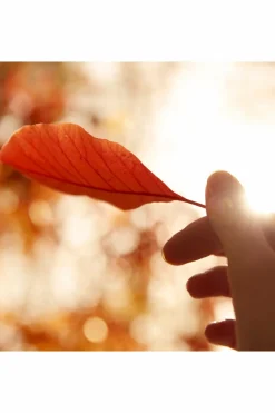 REPLICA Autumn Vibes Eau De Toilette