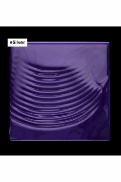 Shampoing pour cheveux gris et blancs Silver