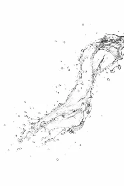 Spray visage régénérant aloe vera, adaptogènes & eau de coco