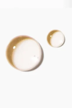 Sérum concentré pointes sèches Nutritive