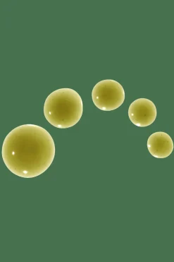 Sérum super plantes antioxydantes