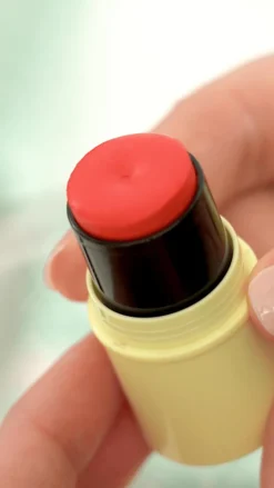 Stick baume lèvres & blush Fantastick