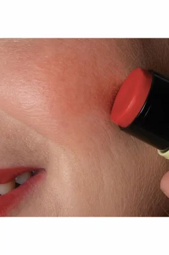 Stick baume lèvres & blush Fantastick