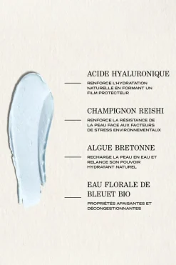 Stick regard hydratant adaptogène