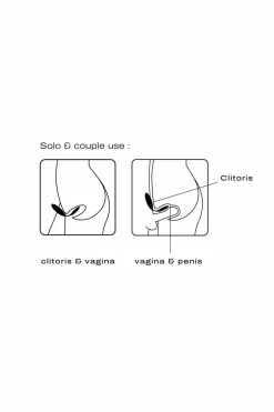 Vibromasseur avec télécommande Perfect Lover