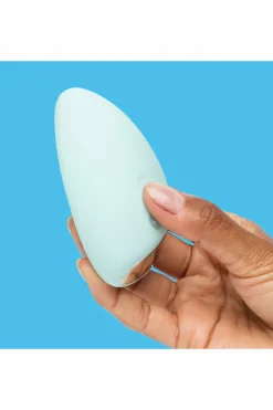 Vibromasseur galet Personal Massager